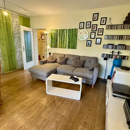 Bonn: Rhein Und Zentrum Vor Der Türe Bonn