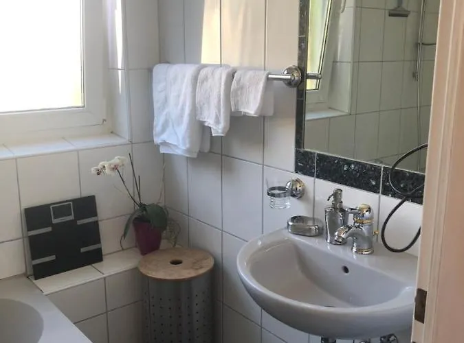 Bonn: Rhein Und Zentrum Vor Der Tuere