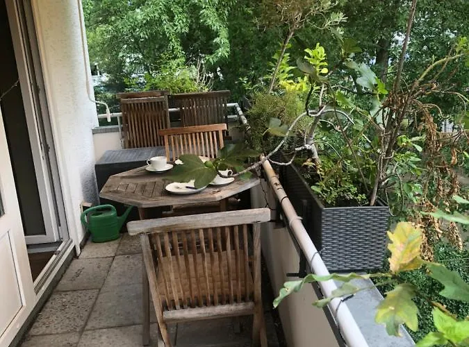 Bonn: Rhein Und Zentrum Vor Der Tuere * 波恩