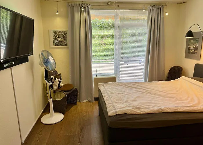 Bonn: Rhein Und Zentrum Vor Der Tuere Lejlighed Bonn