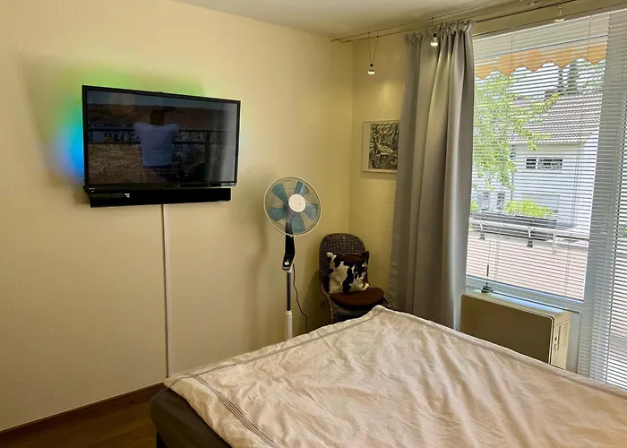 Bonn: Rhein Und Zentrum Vor Der Tuere Lejlighed Bonn