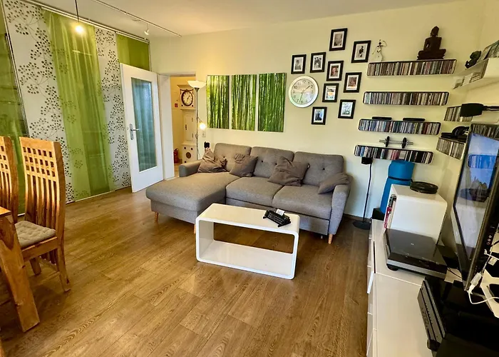 Bonn: Rhein Und Zentrum Vor Der Tuere 波恩